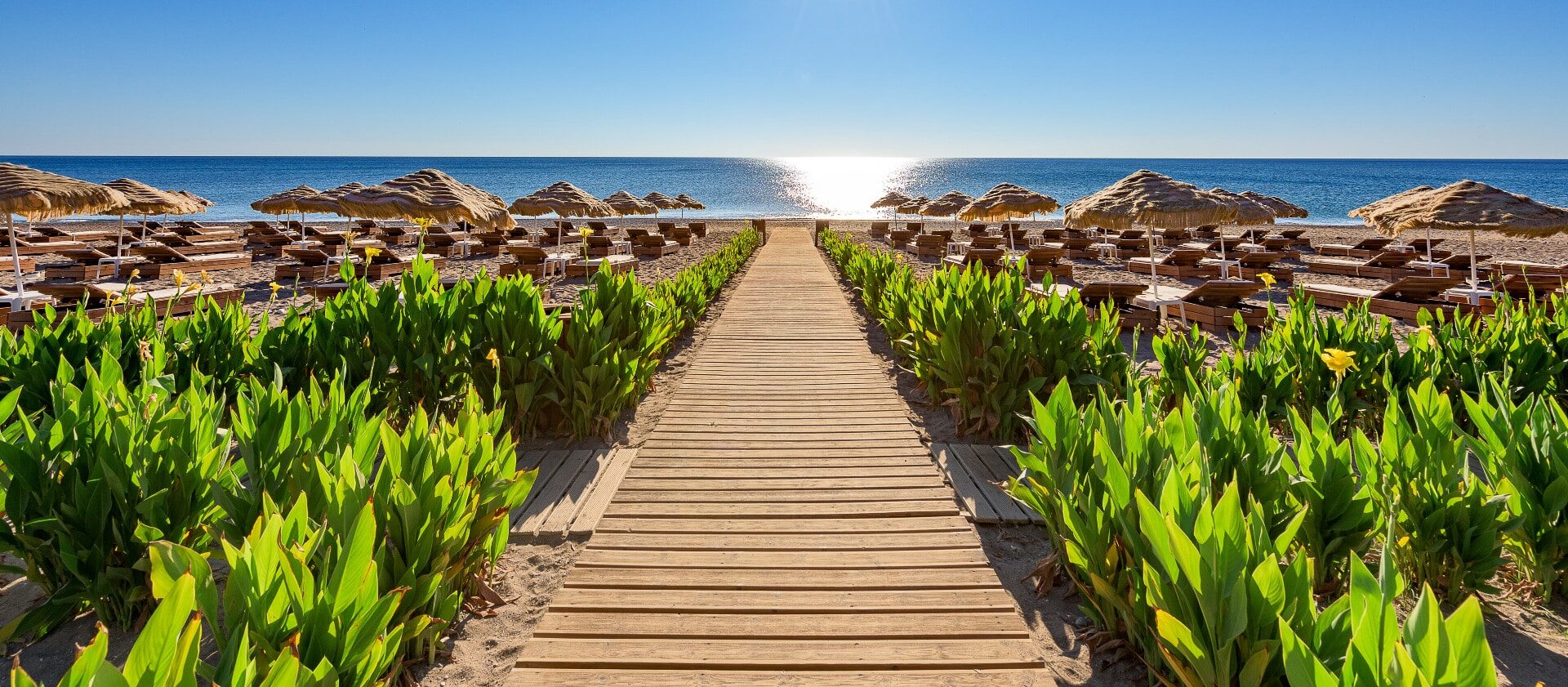 http://Allée%20en%20bois%20menant%20à%20la%20plage%20avec%20chaises%20longues%20et%20parasols,%20ciel%20dégagé%20et%20soleil%20éclatant.