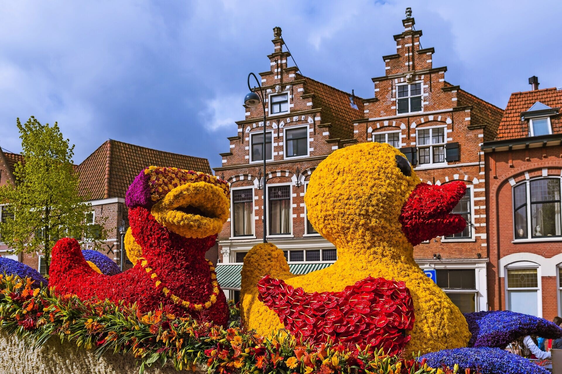 Blütenpracht in Holland